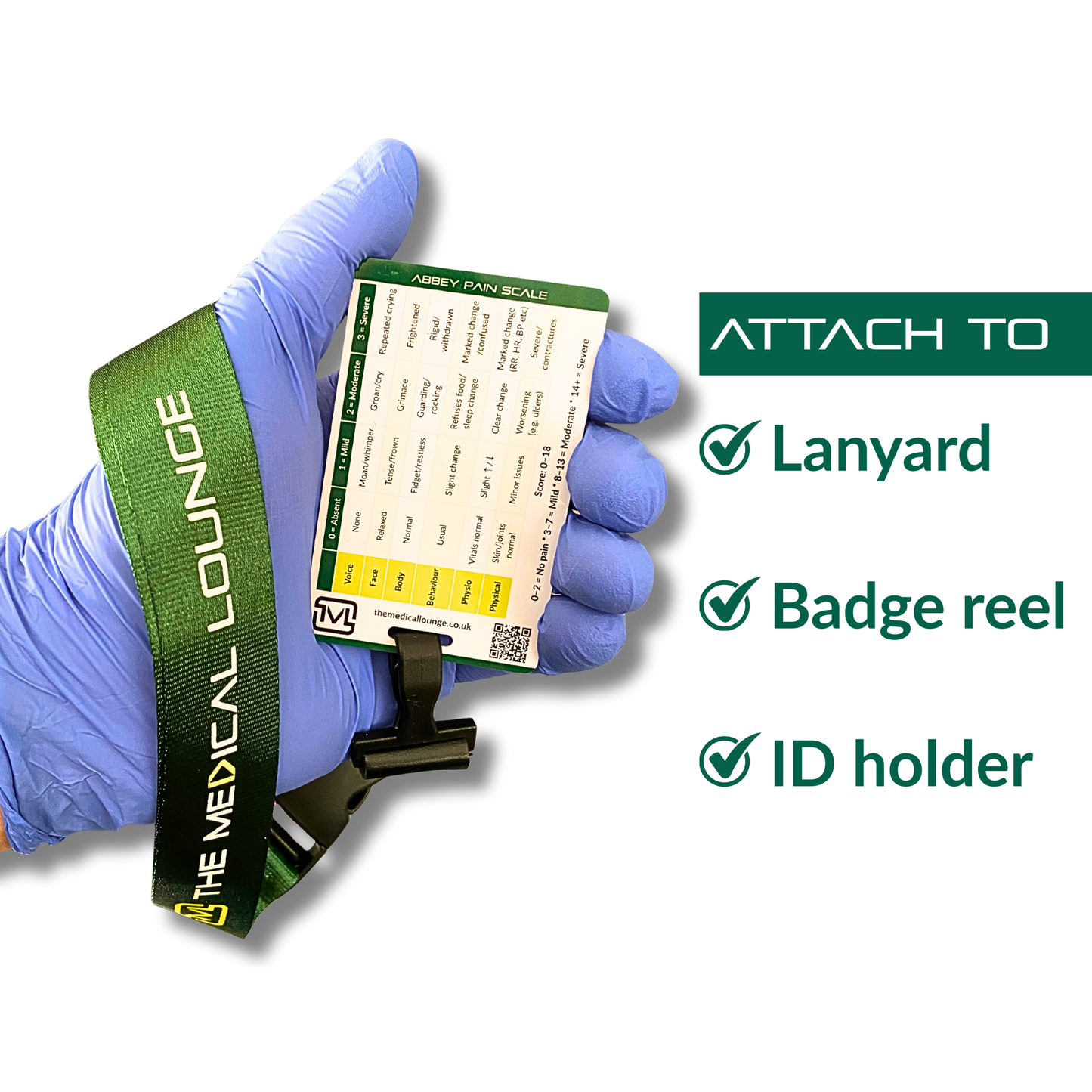 Abbey Pain Scale & PAINAD – Cognitive Impairment Pain Assessment Reference Card