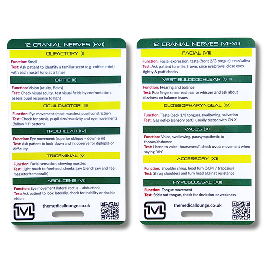Cranial Nerves I–XII – Neuro Assessment Reference Card