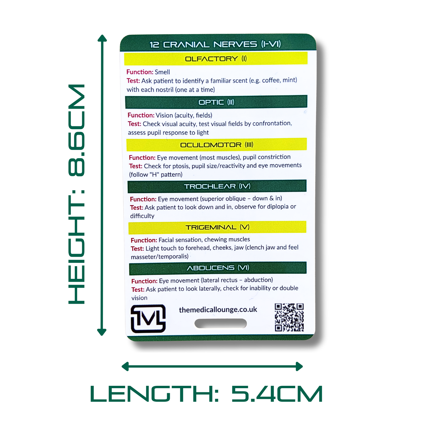 Cranial Nerves I–XII – Neuro Assessment Reference Card