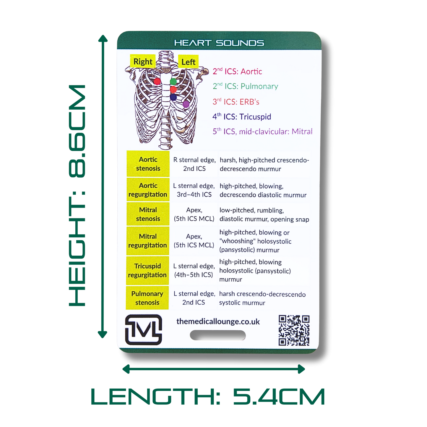 Cardiovascular Assessment – Clinical Examination Reference Card