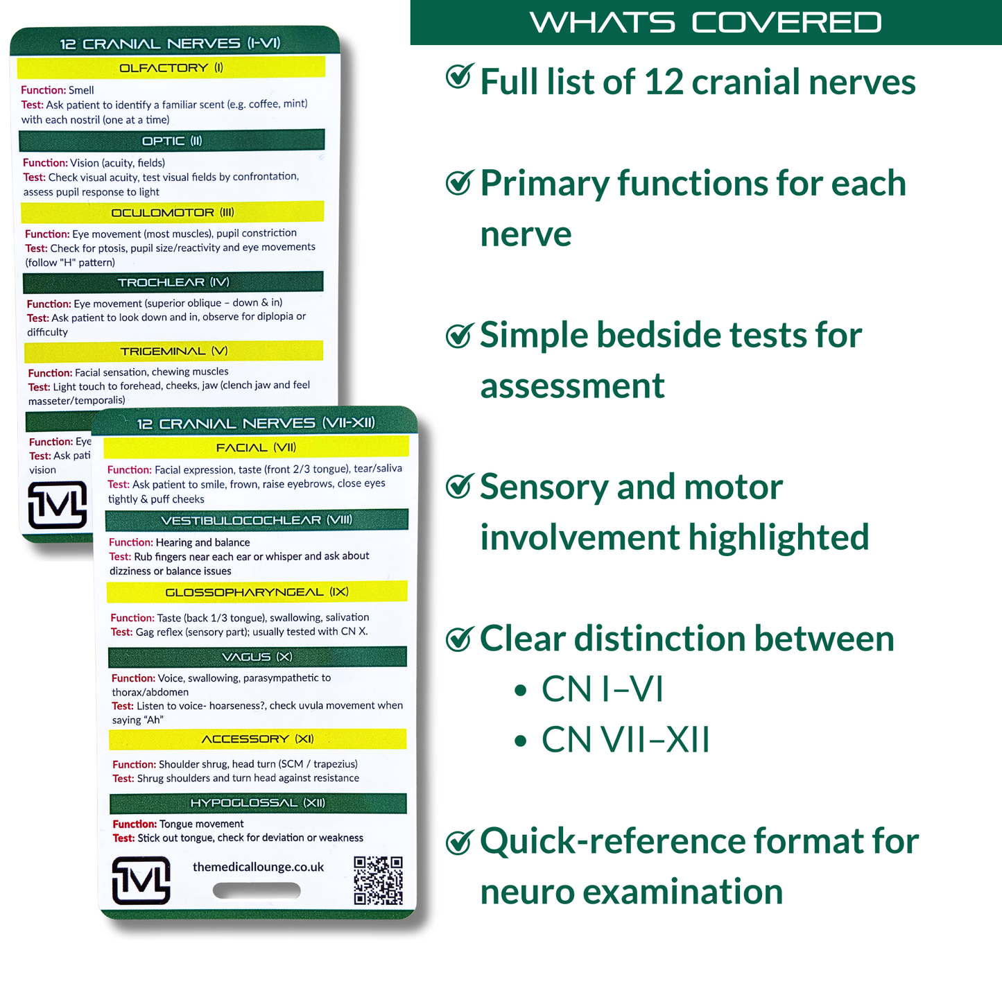 Cranial Nerves I–XII – Neuro Assessment Reference Card