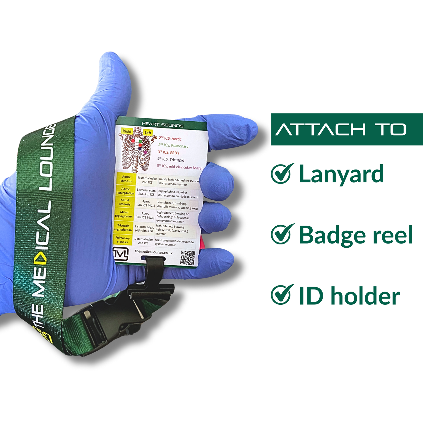 Cardiovascular Assessment – Clinical Examination Reference Card