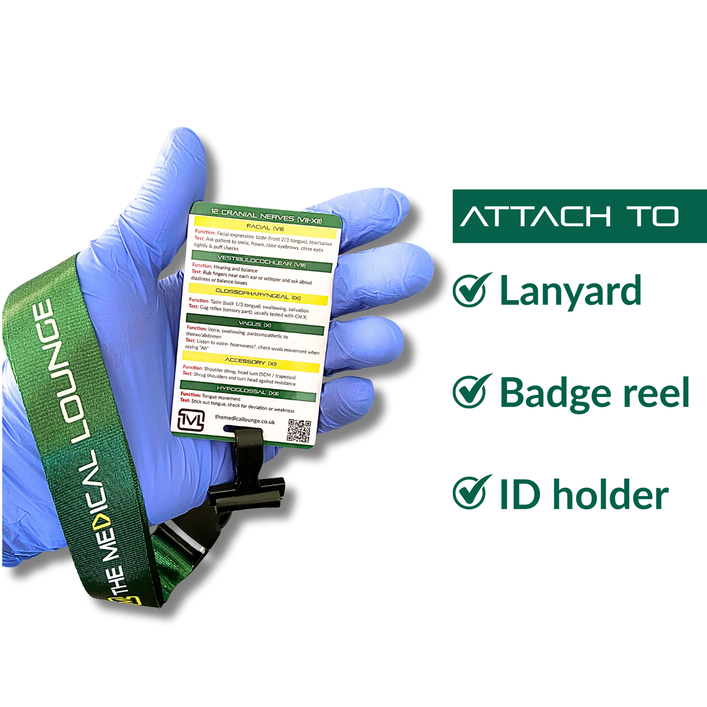 Cranial Nerves I–XII – Neuro Assessment Reference Card
